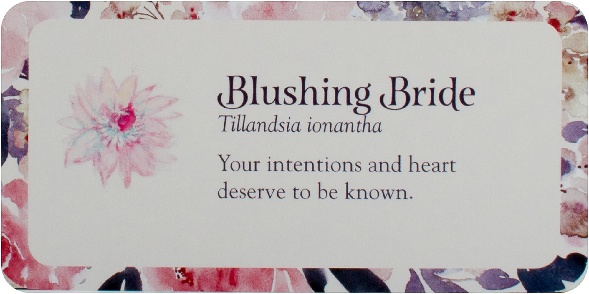 Flower Petals Mini Inspiration Cards Blossoming Guidance