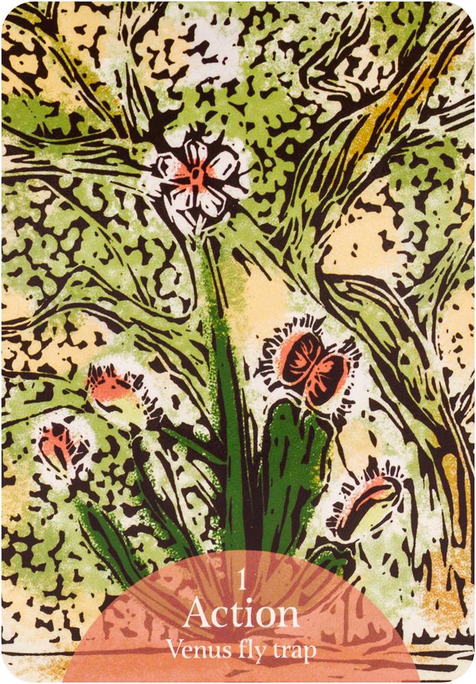 Language Of Flowers Oracle