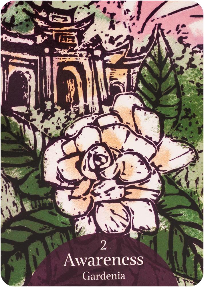 Language Of Flowers Oracle