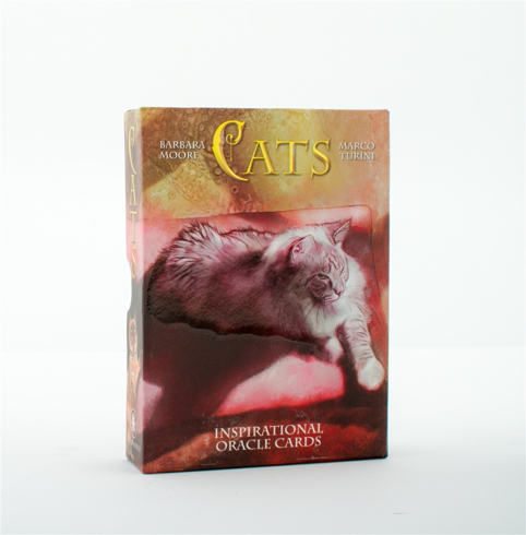 Bild på Cats Inspirational Oracle Cards