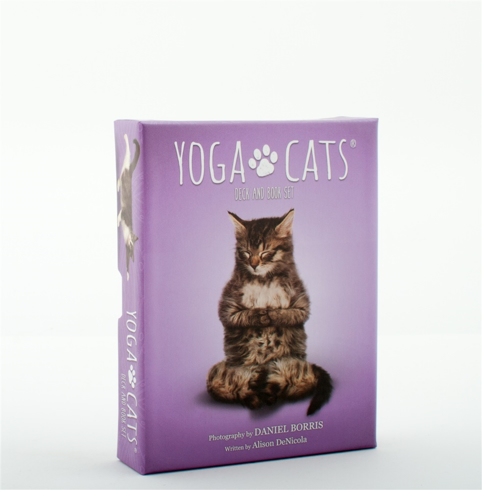 Bild på Yoga Cats Deck & Book Set