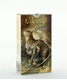 Bild på Vikings Tarot 