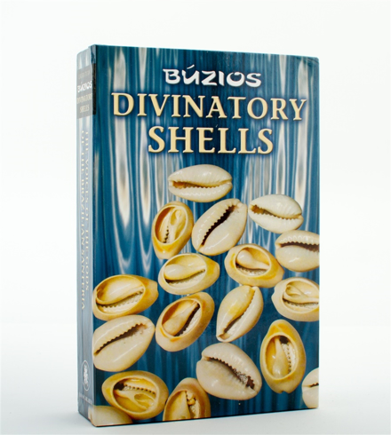 Bild på Divination Shells Kit
