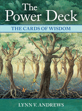 Bild på Power Deck new Edition : The Cards of Wisdom