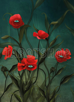 Bild på Magic Allseeing Poppies