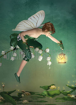 Bild på Magic Fairy