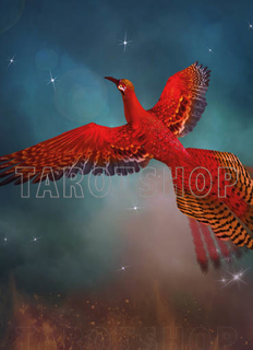 Bild på Magic Phoenix (13x18 cm)