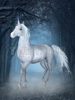 Bild på Magic Unicorn (30x40 cm)