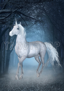Bild på Magic Unicorn (70x100 cm)