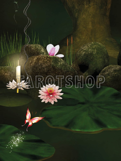 Bild på Magic Water Lily (30x40 cm)
