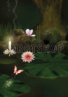 Bild på Magic Water Lily (70x100 cm)