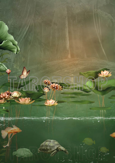 Bild på Magic Water Lily and Turtle (21x30 cm)