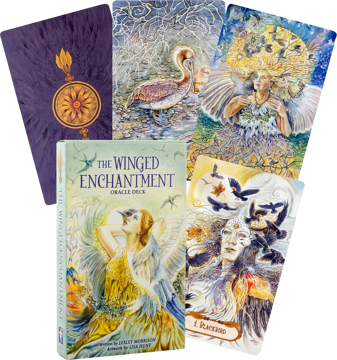 Bild på The Winged Enchantment Oracle deck (39-card deck & 48-page guidebook)