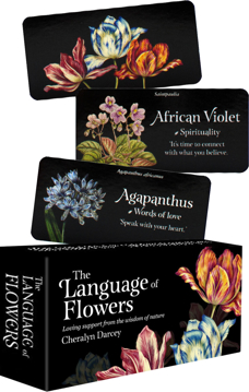 Bild på Language Of Flowers: Mini Inspiration Cards