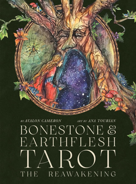 Bild på Bonestone & Earthflesh Tarot