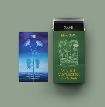 Bild på Voynich Manuscript Oracle Cards