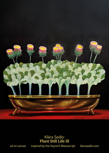 Bild på Plant Still Life III - postcard