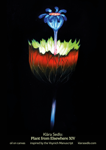 Bild på Plant From Elsewhere XIV - postcard